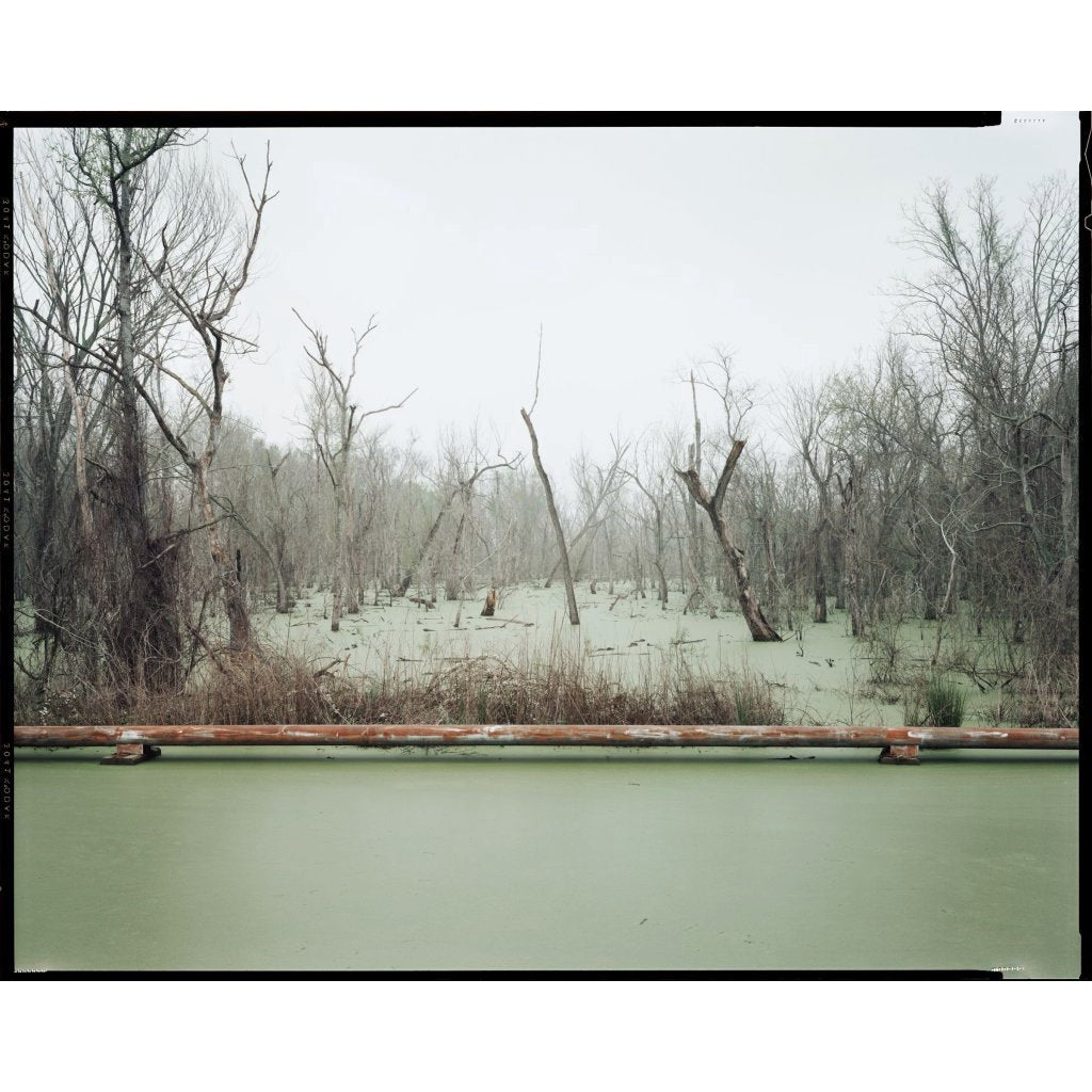 Postcard Richard Misrach Swamp and Pipeline