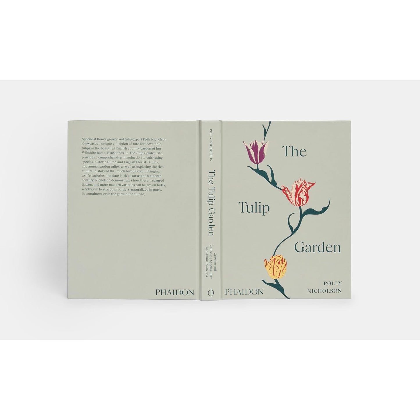 Tulip Garden: Growing and Collecting Species, Rare and Annual Varieties
