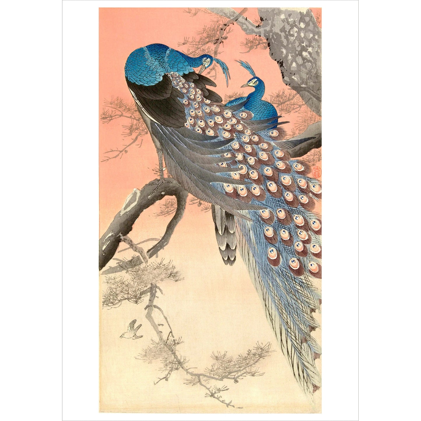 Ohara Shoson Two Peacocks on the Branch of a Tree Notecard