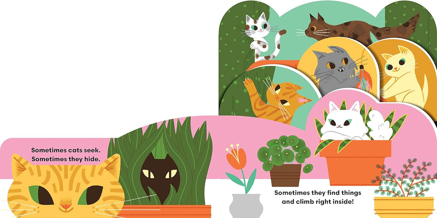 Some Cats Board Book