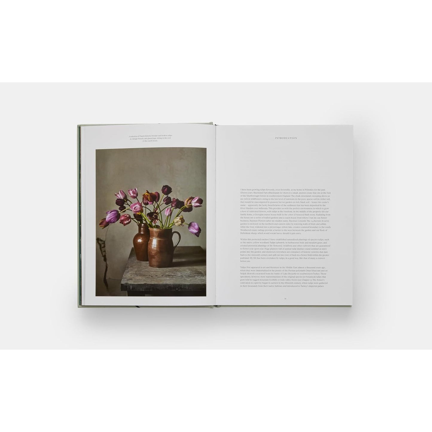 Tulip Garden: Growing and Collecting Species, Rare and Annual Varieties