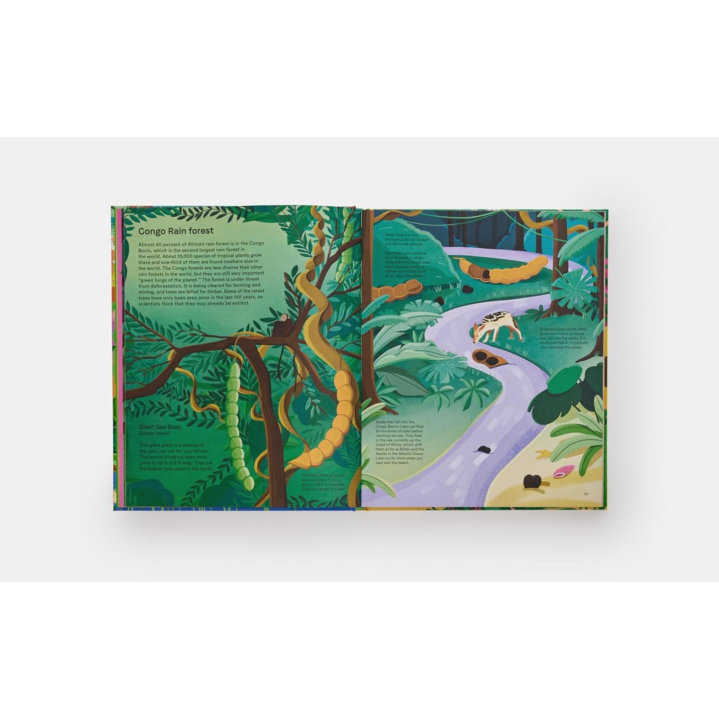 Home for Every Plant: Wonders of the Botanical World