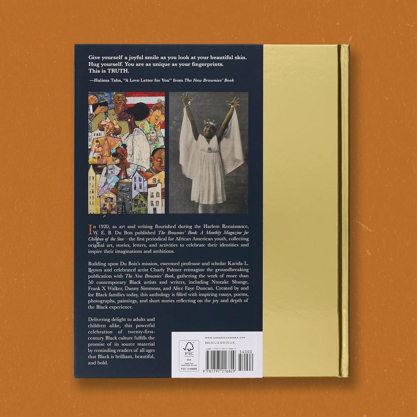 New Brownie Book: A Love Letter to Black Families