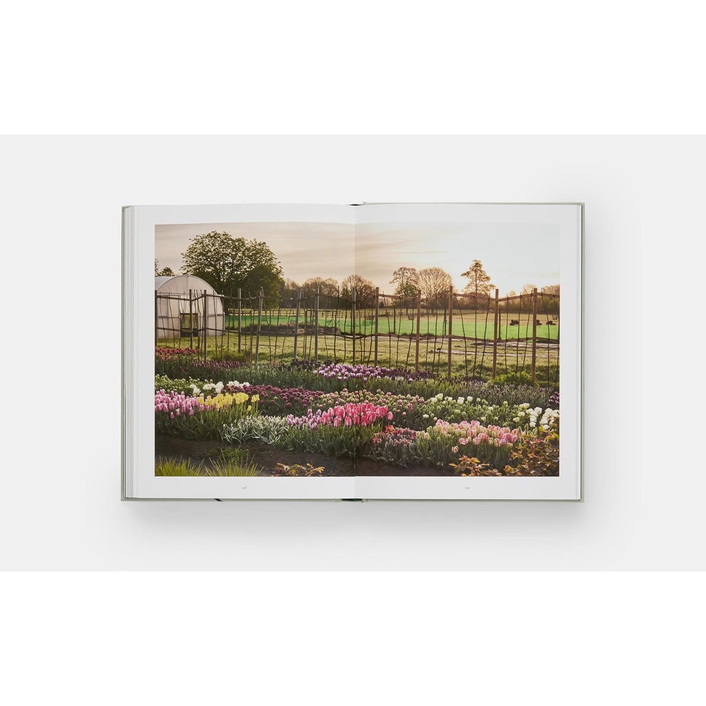 Tulip Garden: Growing and Collecting Species, Rare and Annual Varieties