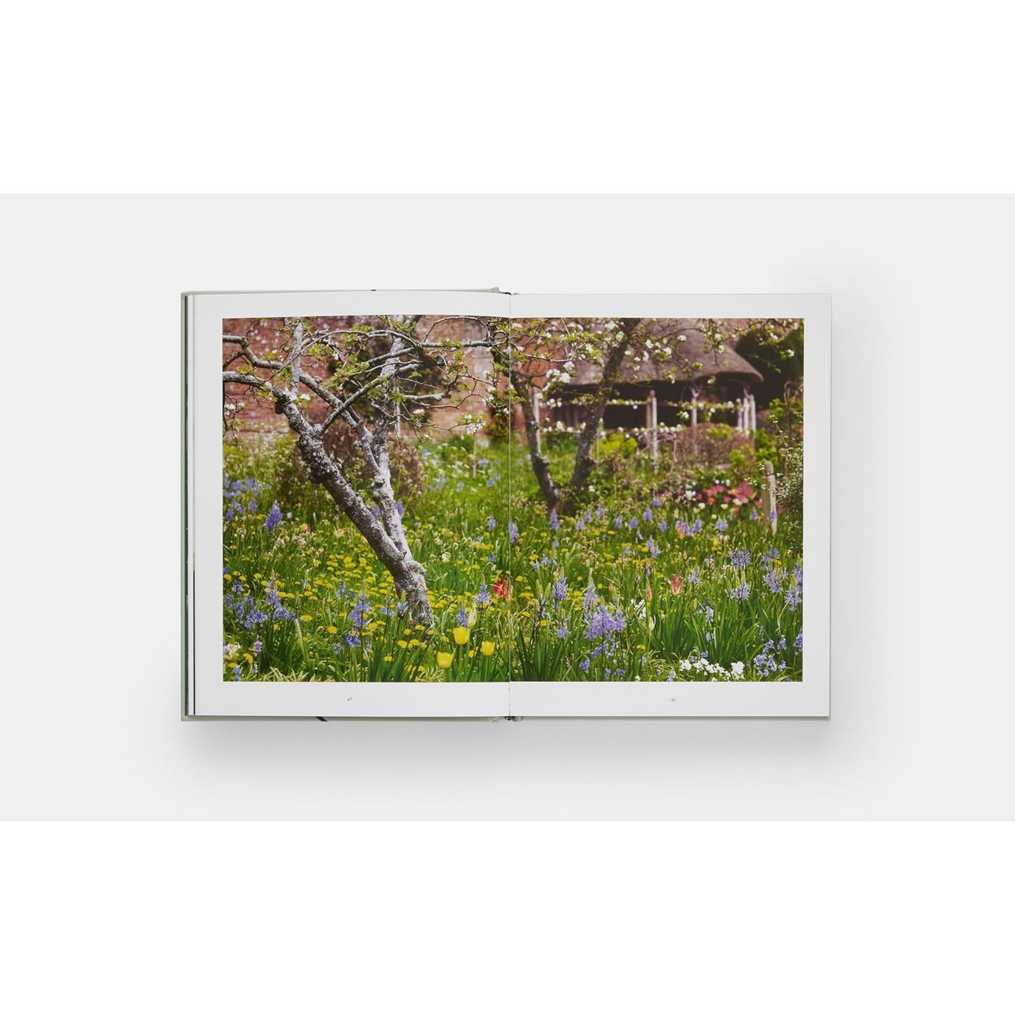 Tulip Garden: Growing and Collecting Species, Rare and Annual Varieties