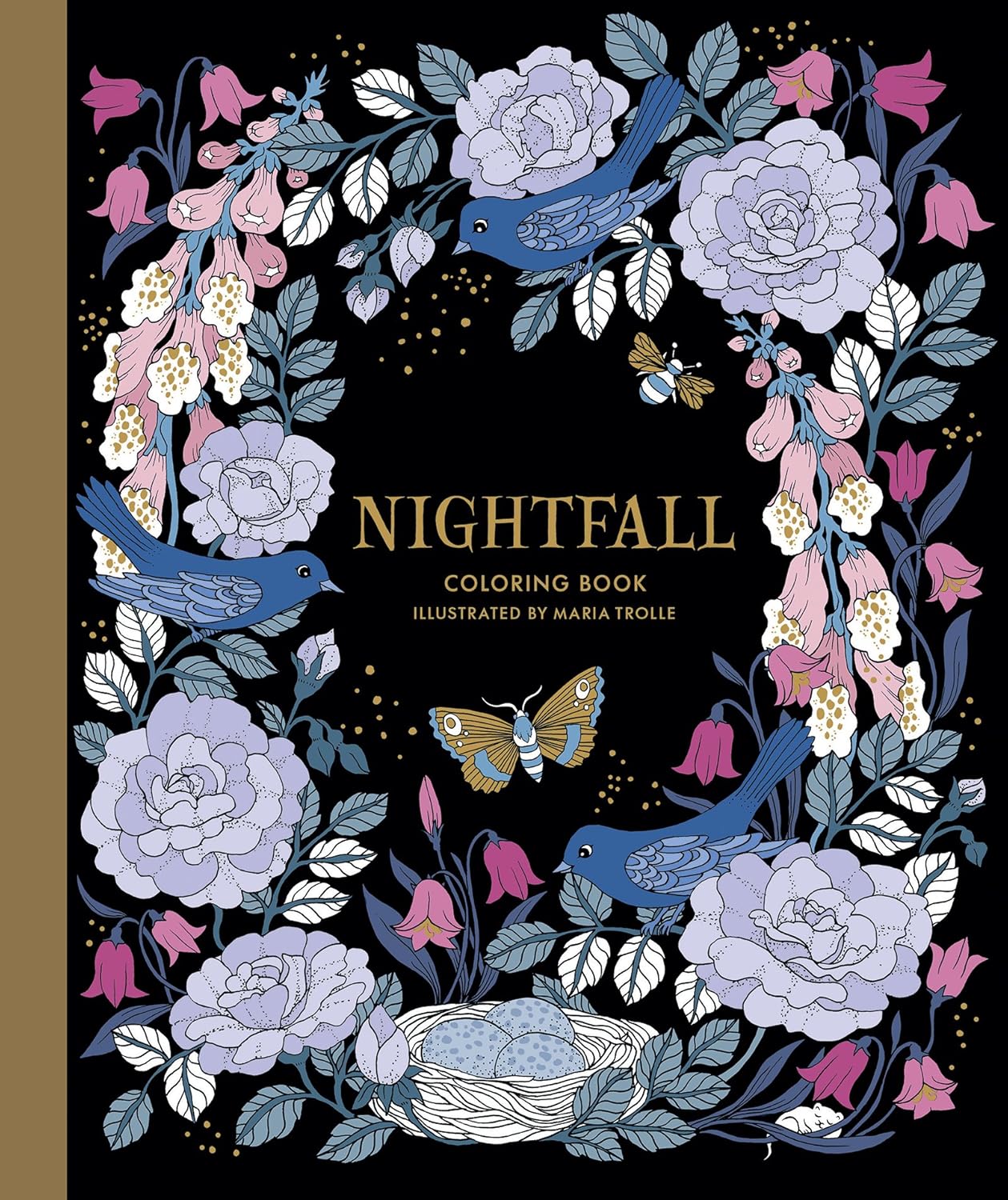 Nightfall Coloring Book