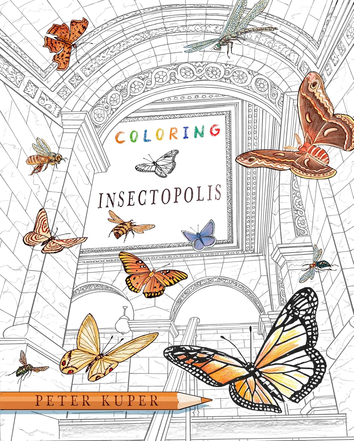 Coloring Insectopolis