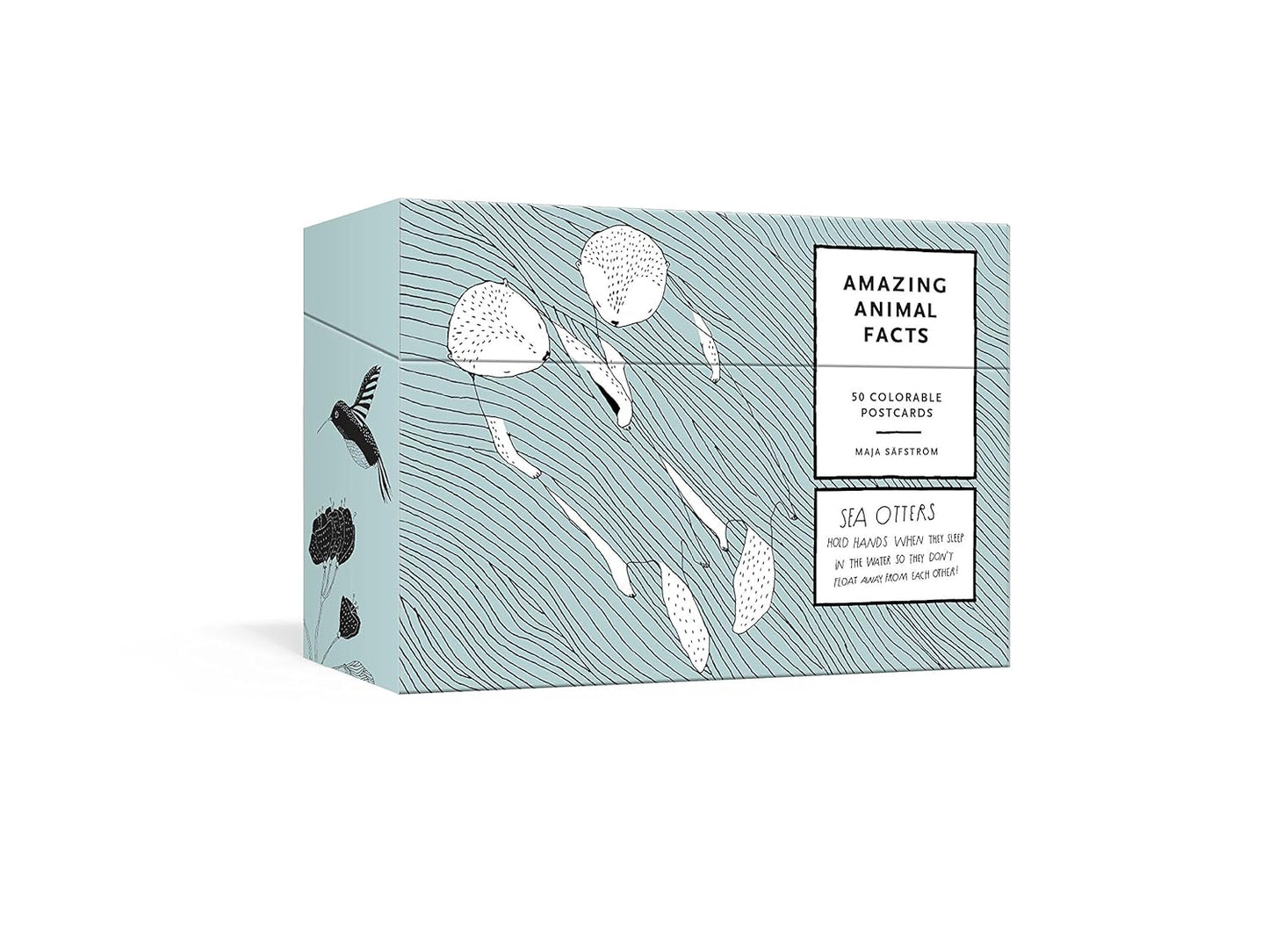 Amazing Animals Facts Postcard Set