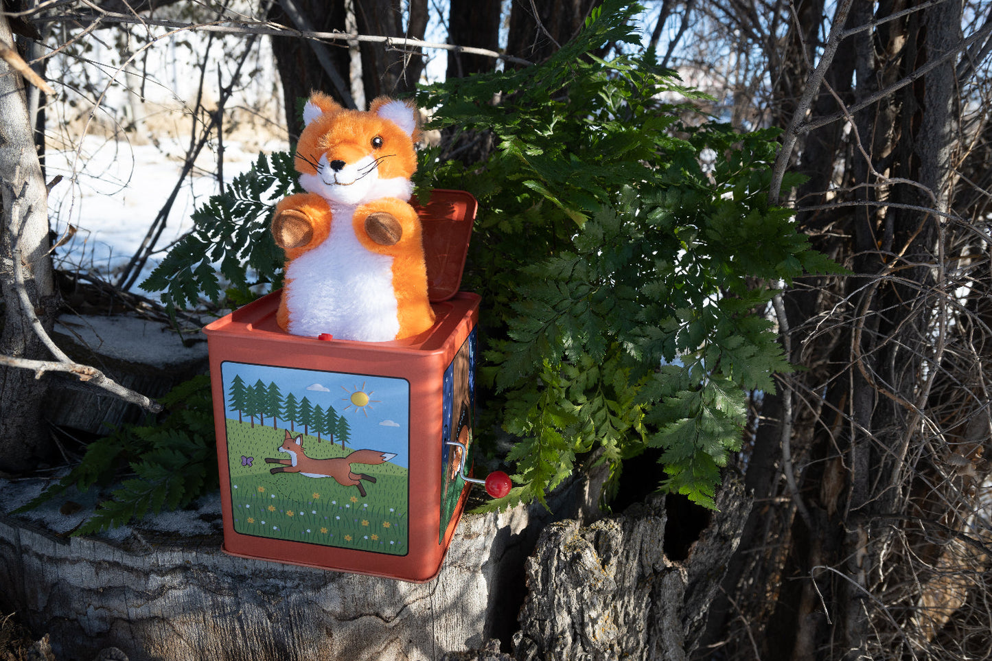 Fox Jack-In-The-Box