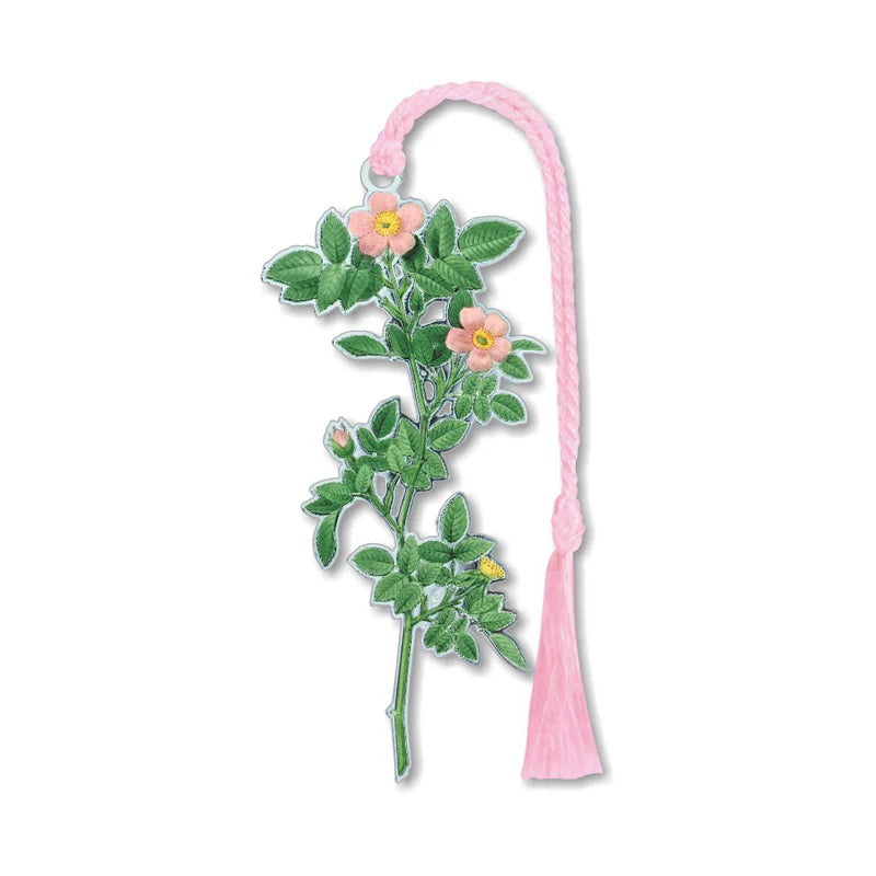 Rosa Montezuma Metal Bookmark