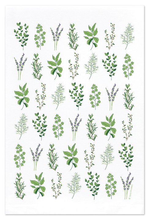 Coast & Cotton Tea Towels