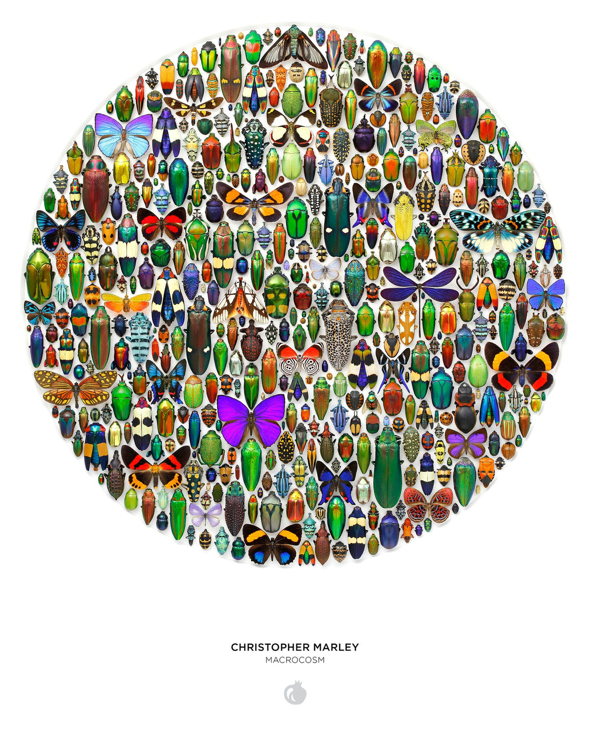 Christopher Marley Macrocosm 500 Piece Circular Puzzle