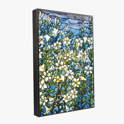 Louis C. Tiffany Gift Boxed Socks