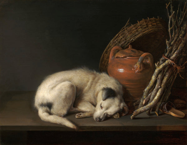 Dog at Rest Postcard