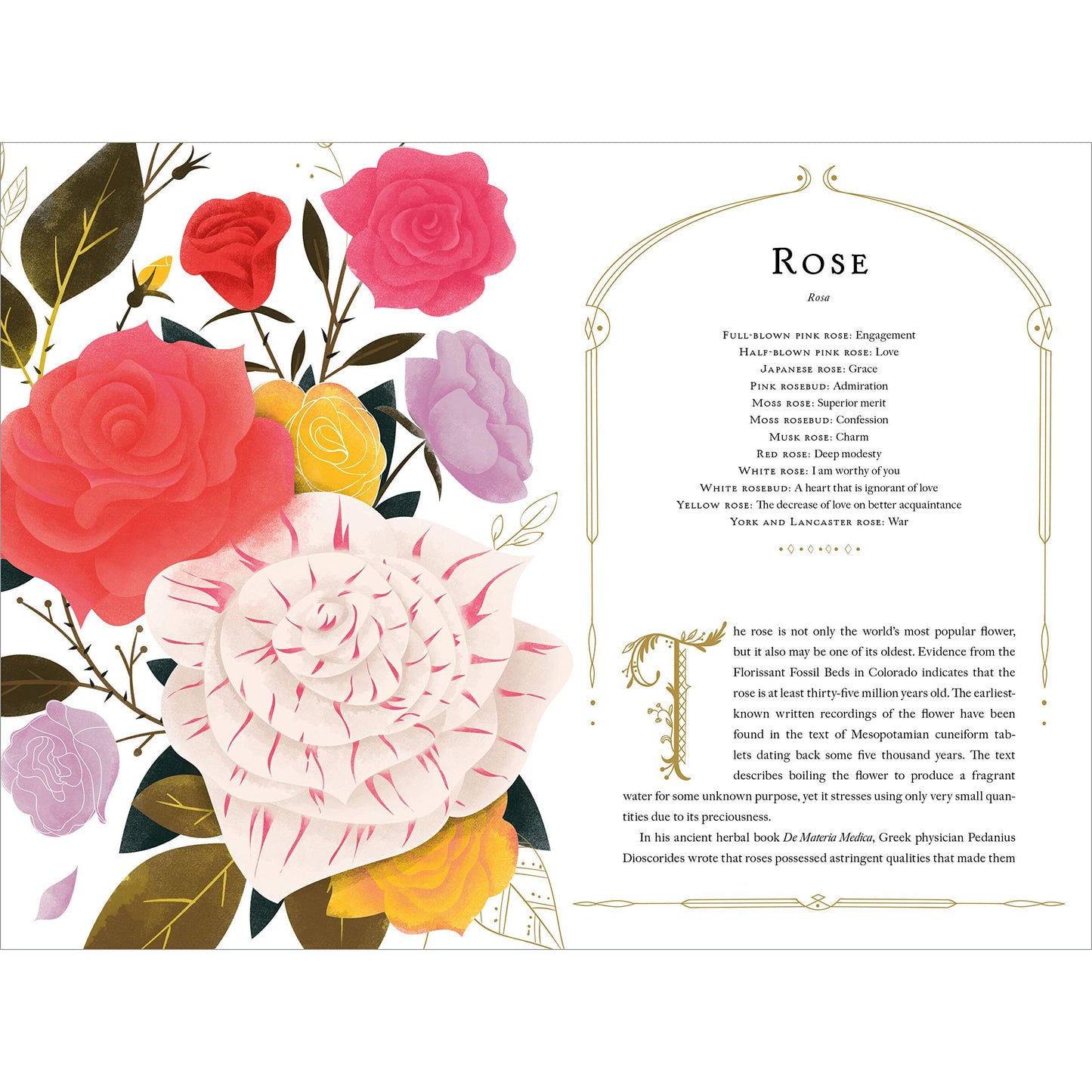 The Language of Flowers