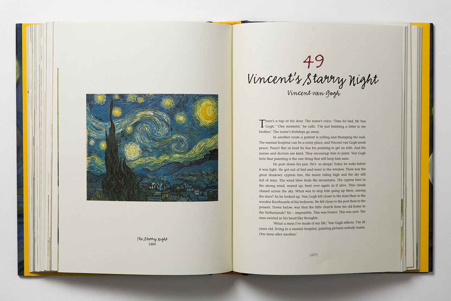 Vincent's Starry Night and Other Stories: A Children's History of Art