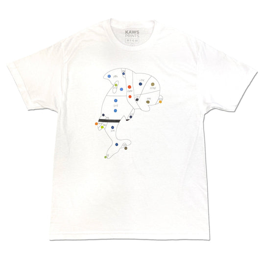 KAWS Collection PIRANHAS STUDY T-SHIRT