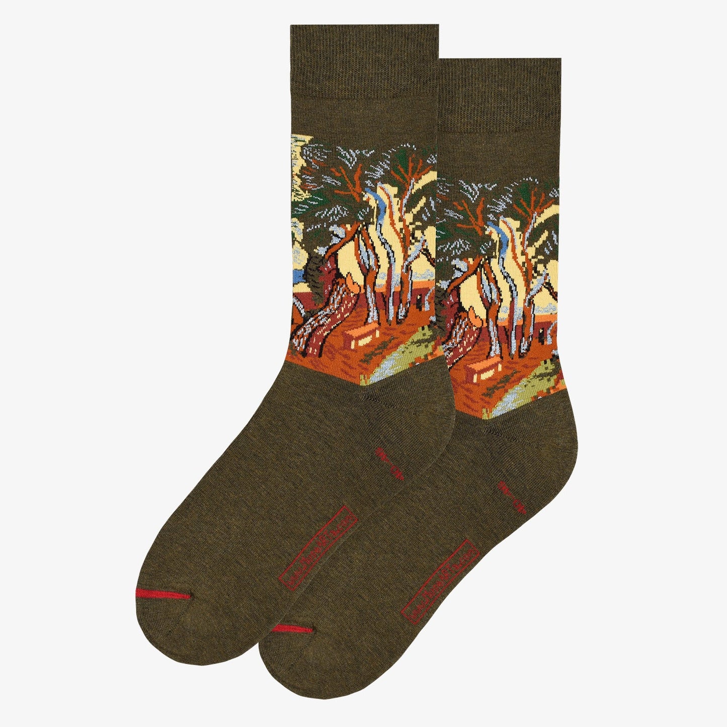 Vincent van Gogh Garden of the Saint-Paul Hospital Socks