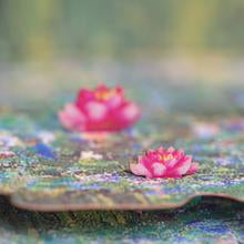 Monet's Water Lilies & Japanese Bridge Pop-Up Card
