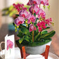 Orchid Oasis Paper Vase