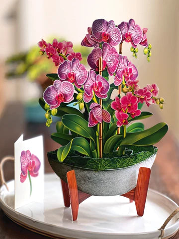Orchid Oasis Paper Vase