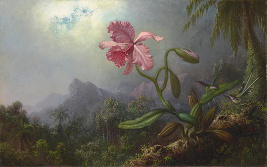 NC HEADE TWO HUMMINGBIRDS