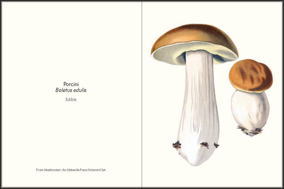 Mushrooms: An Abbeville Notecard Set