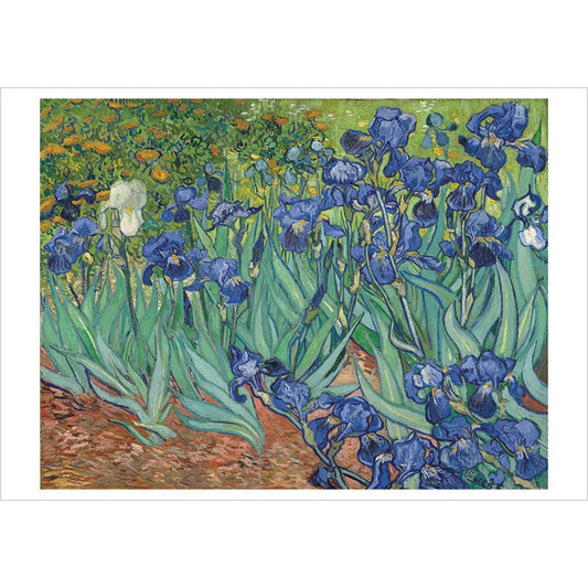 Vincent Van Gogh Irises Notecard