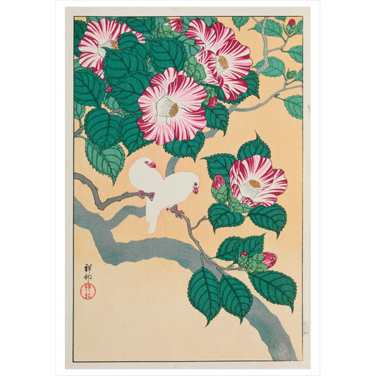 Ohara Shoson Camellia and Rice Birds Notecard