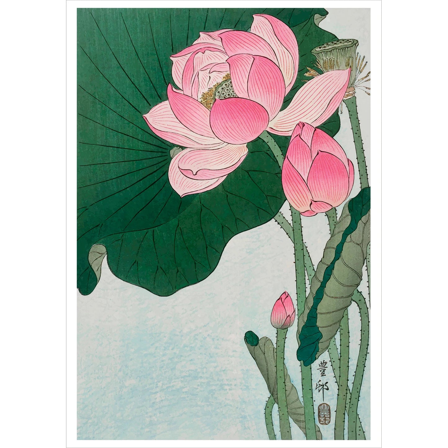 Ohara Shoson Blooming Lotus Notecard