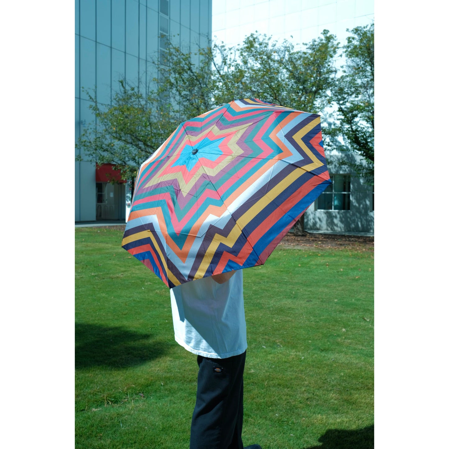 Umbrella Sol LeWitt