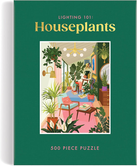 Lighting 101: Houseplants Puzzle
