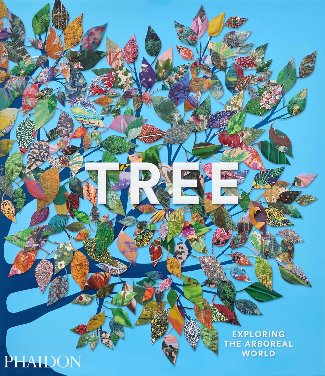 Tree: Exploring the Arboreal World