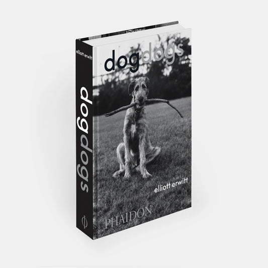 DogDogs