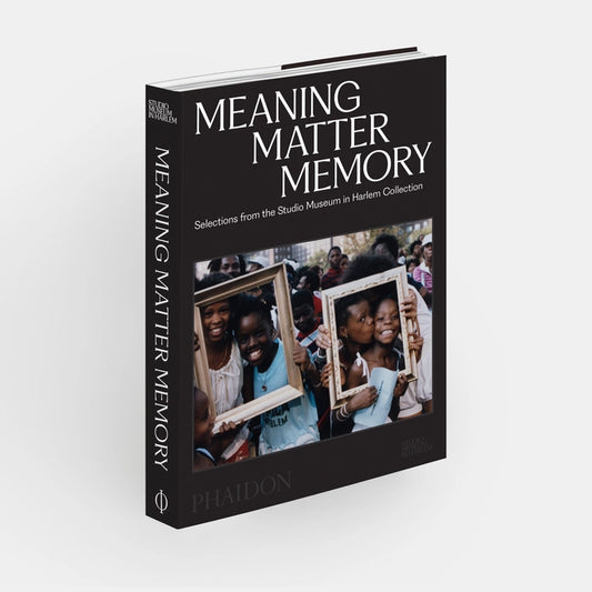 Meaning Matter Memory: Selections from the Studio Museum in Harlem Collection
