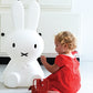 Miffy High Light