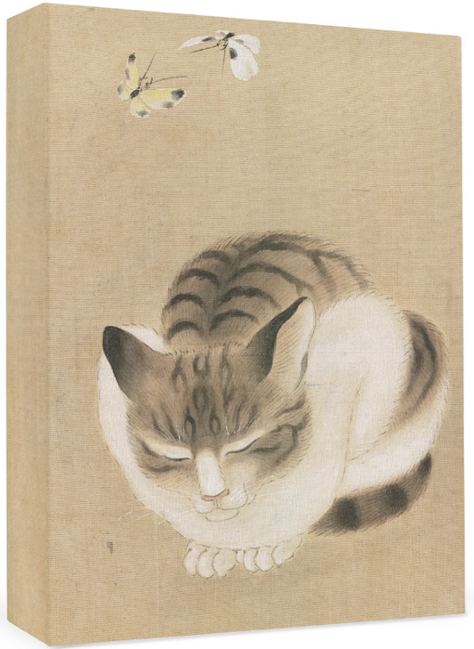 Sleeping Cat and Butterflies Small Boxed Cards