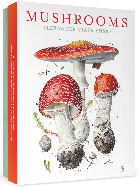 Mushrooms: Alexander Viazmensky Boxed Notecard Set