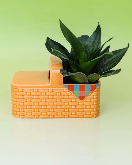 Planter, Picnic Basket