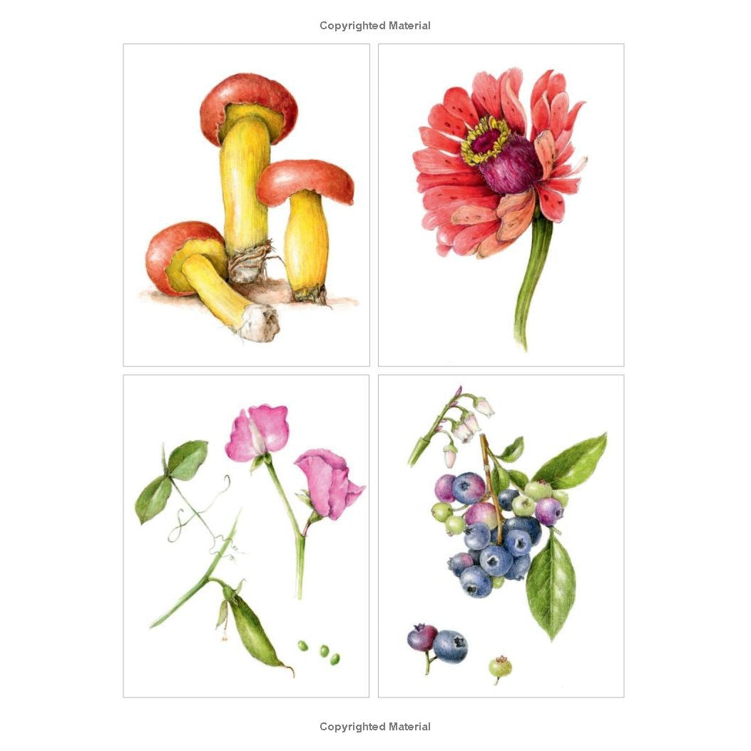 The Joy of Botanical Drawing: A Step by Step Guide to Drawing and Painting Flowers, Leaves, Fruit & More