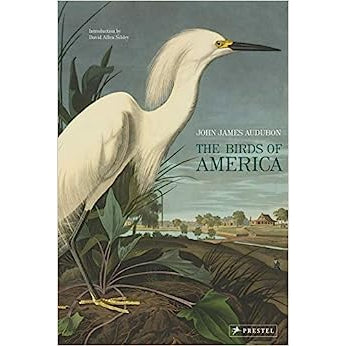 Birds of North America by John James Audobon
