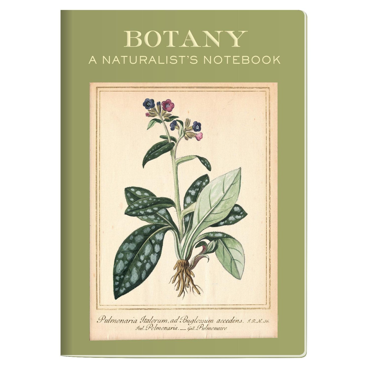 Botany Notebook – High Museum of Art